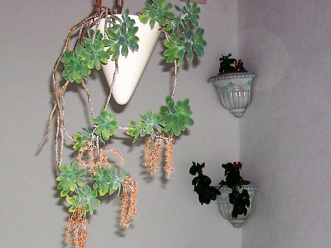 Apartment Lavanda Sutivan
