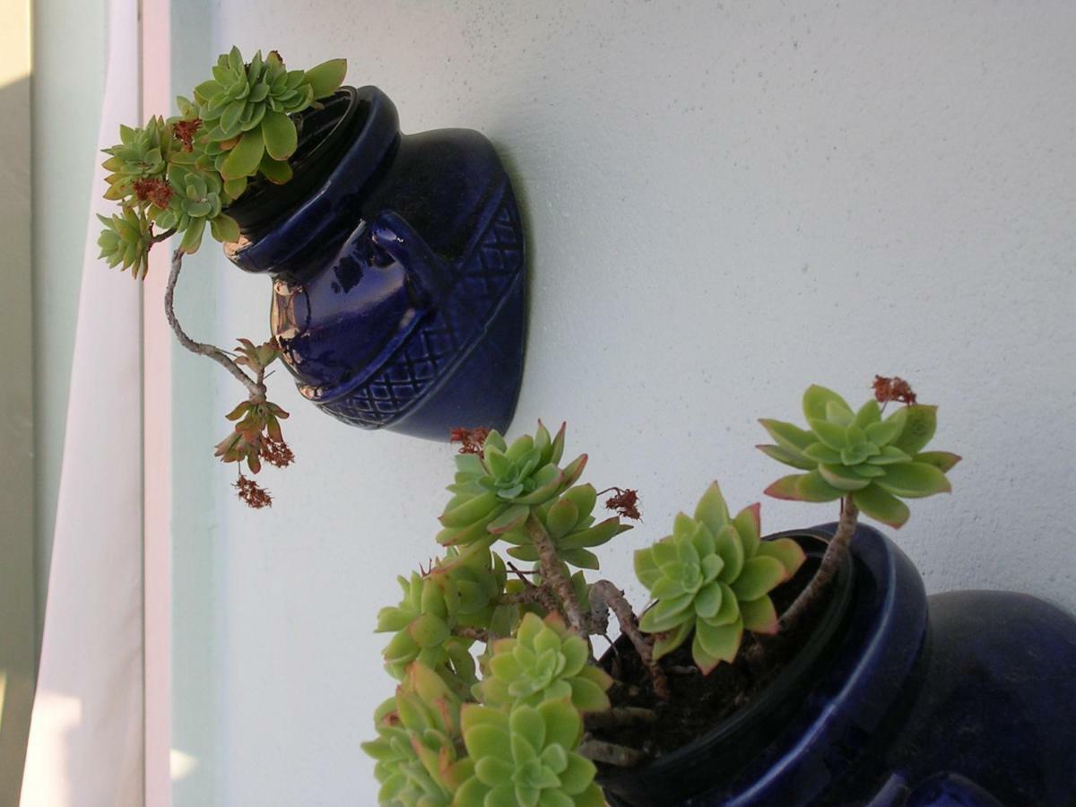 Apartment Lavanda
